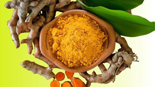 Curcumin Turmeric Superfood for Stronger Skin Barrier