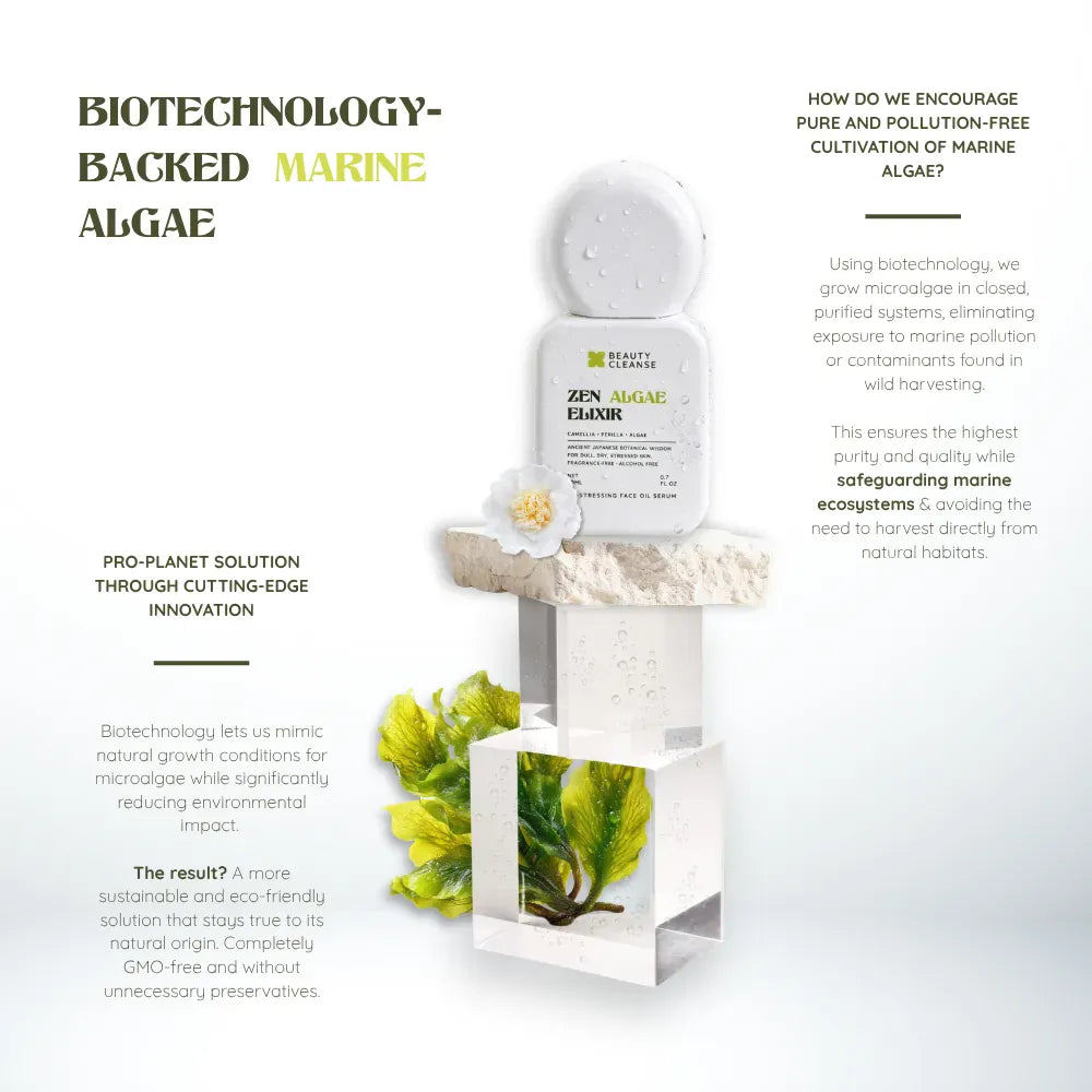 Face Serum ZEN ALGAE ELIXIR